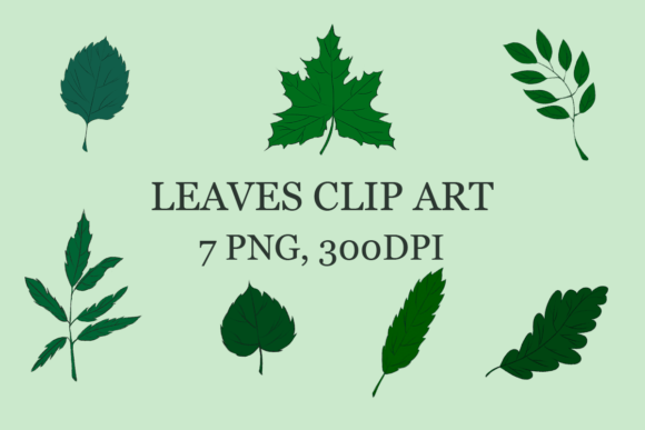 The Strategic Value of Green Leaves Clip Art in Modern Digital and Print Design