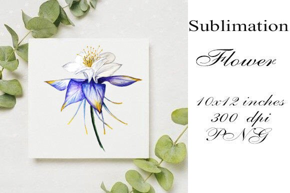 Watercolor Sublimation Flower PNG: A Comprehensive Guide for Creative Applications